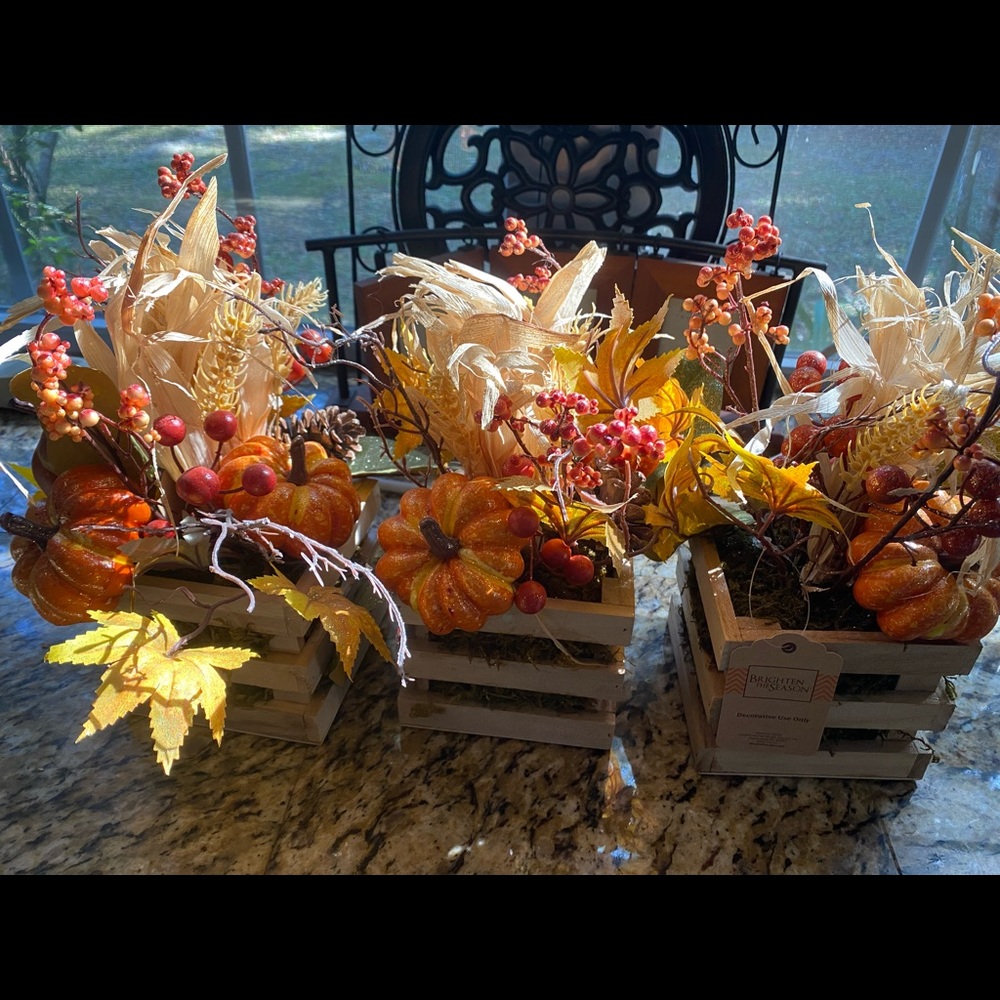 Fall trio